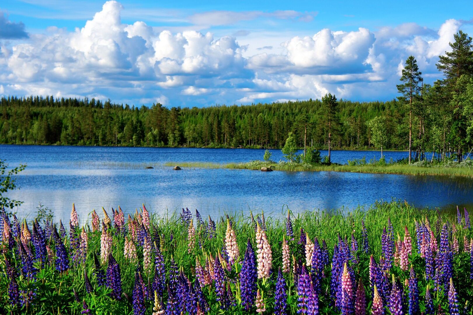 Landscape Photography